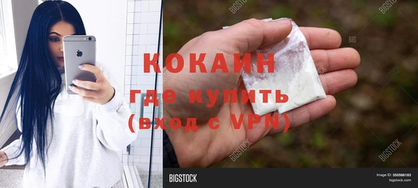 сатива Архангельск
