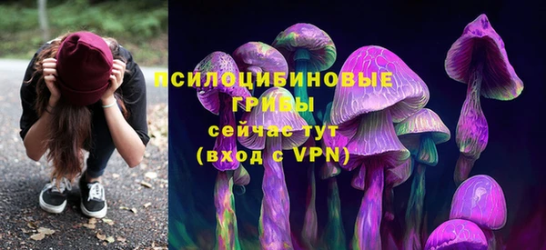 меф Медногорск