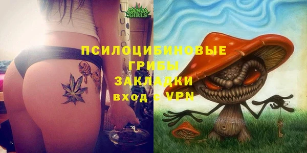 бошки Верхний Тагил