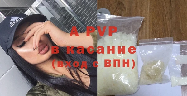 хмурый Магас