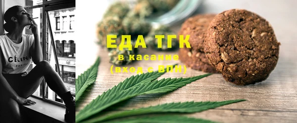 хмурый Магас
