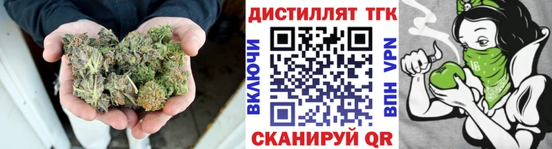 Дистиллят ТГК концентрат  MEGA рабочий сайт  Кольчугино  закладки 