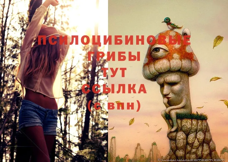 Галлюциногенные грибы Magic Shrooms Кольчугино