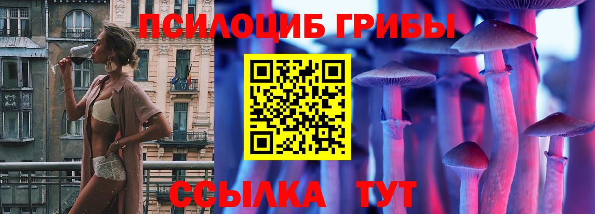 Галлюциногенные грибы GOLDEN TEACHER  Галлюциногенные грибы Psilocybine cubensis  Вход с VPN  Кольчугино 